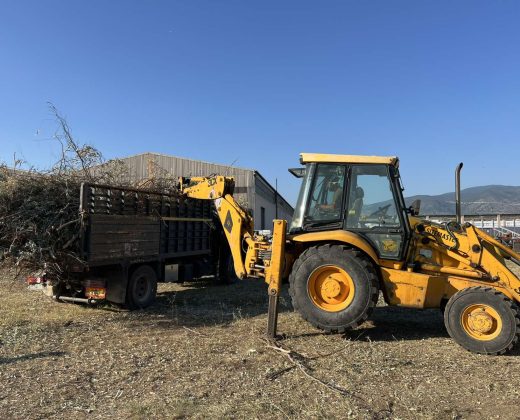 IMG-050207e70e802d4765af344a65d69813-V