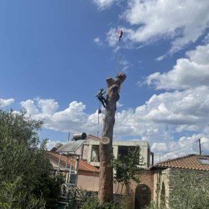 IMG-080715eef6156c442c3164e47e8d0676-V