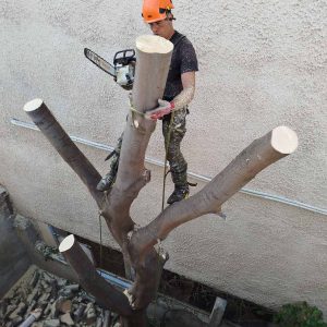 IMG-084756d3f4ba4eac4e8027261cfa9d36-V