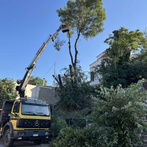 IMG-0a0c81d32c38fb6216b88ee6bdd8eec4-V - Αντιγραφή