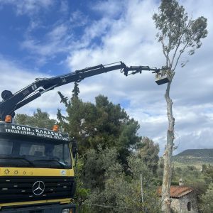 IMG-1dd9b0bcbd90a1b89993e81d4918020c-V