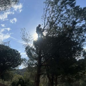 IMG-2b24c6db5aa44673f1688f73ebb434e8-V