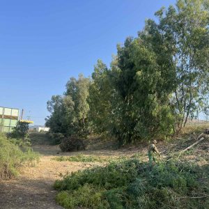 IMG-5723d100263dfbec1ea2751c108c1794-V