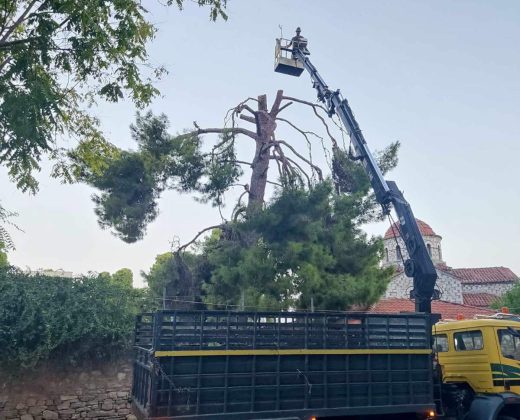 IMG-6f7e5b7bfc60237e91ad9c88af105adf-V